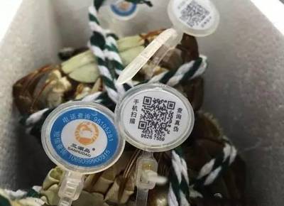 秋分时节蟹正肥，阳澄湖开湖迎丰收——2023年阳澄湖大闸蟹9月23日开捕，防伪体系再升级